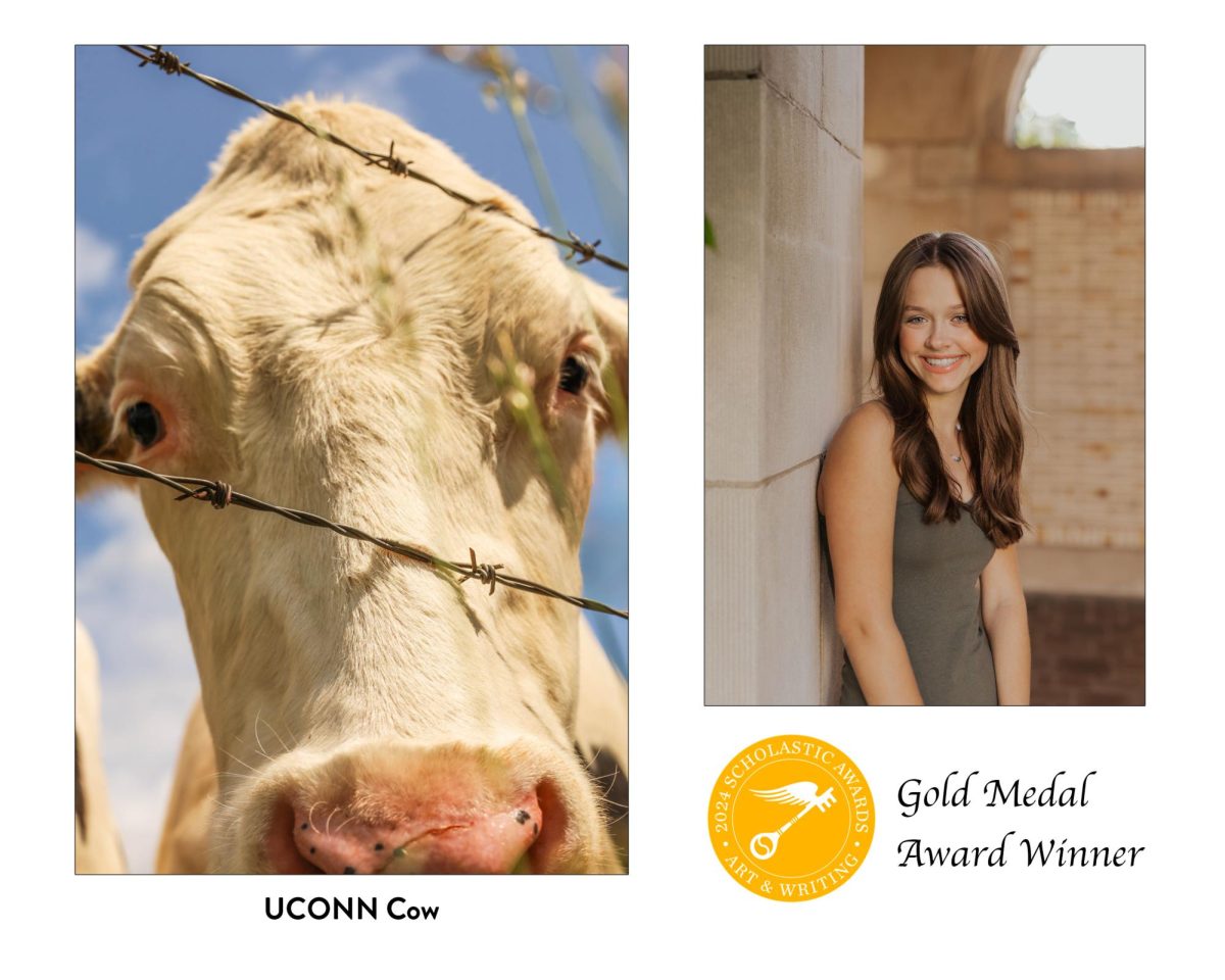 Claire Mitchell earns Gold Medal in national competition for her photograph "UCONN Cow." 