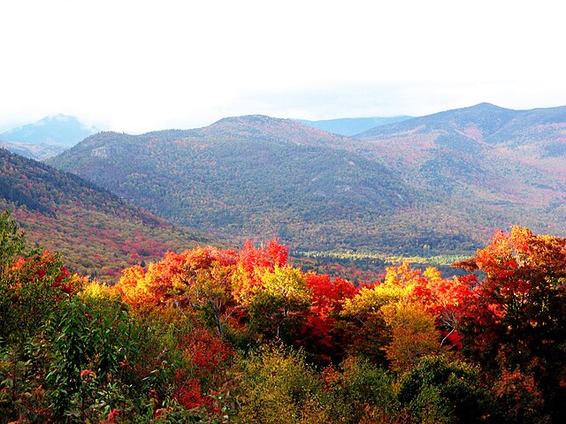 New York in Autumn
(commons.wikimedia.org)