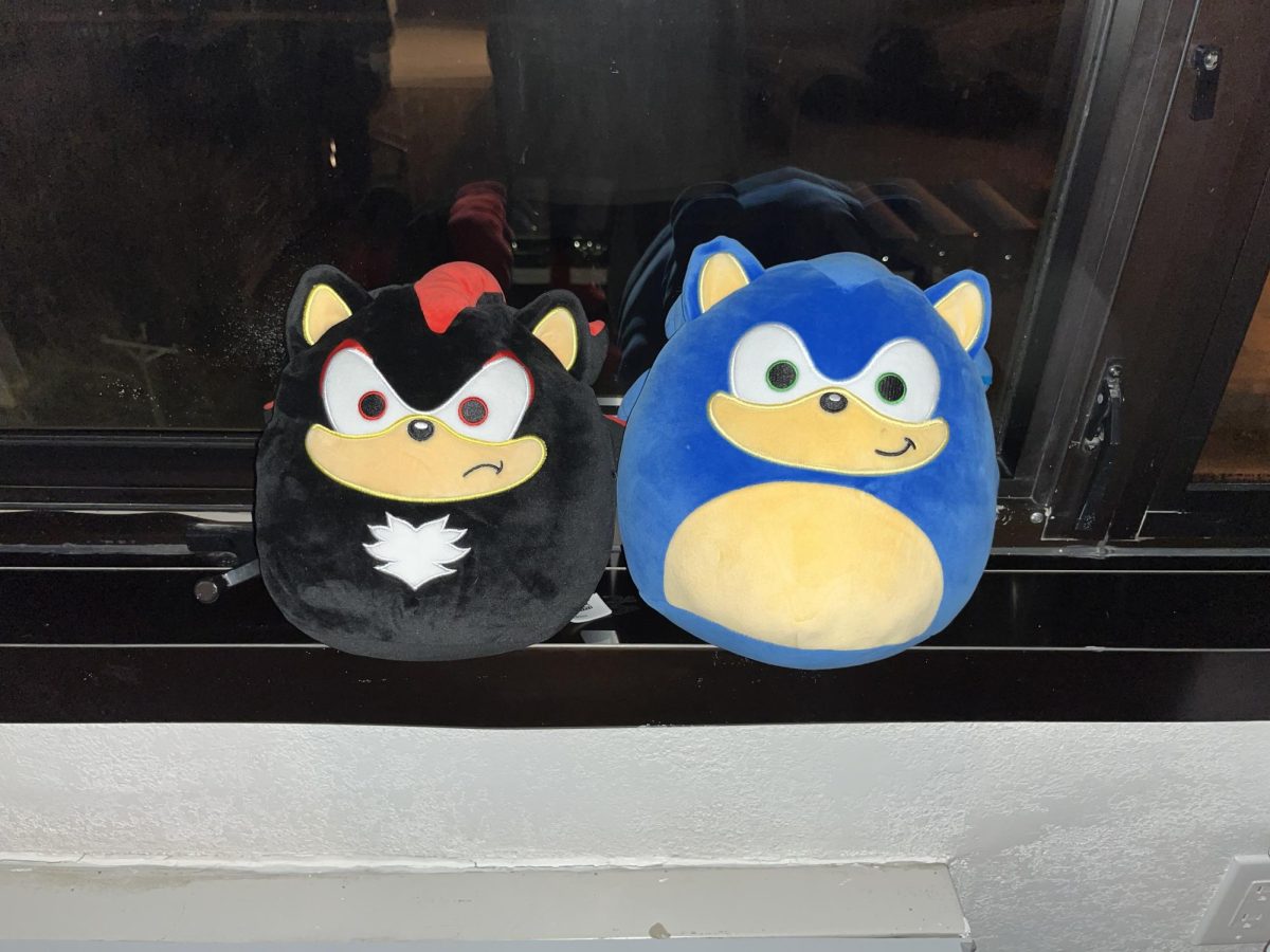 Sonic and Shadow squishmellow
Photo taken by Leah Brown 