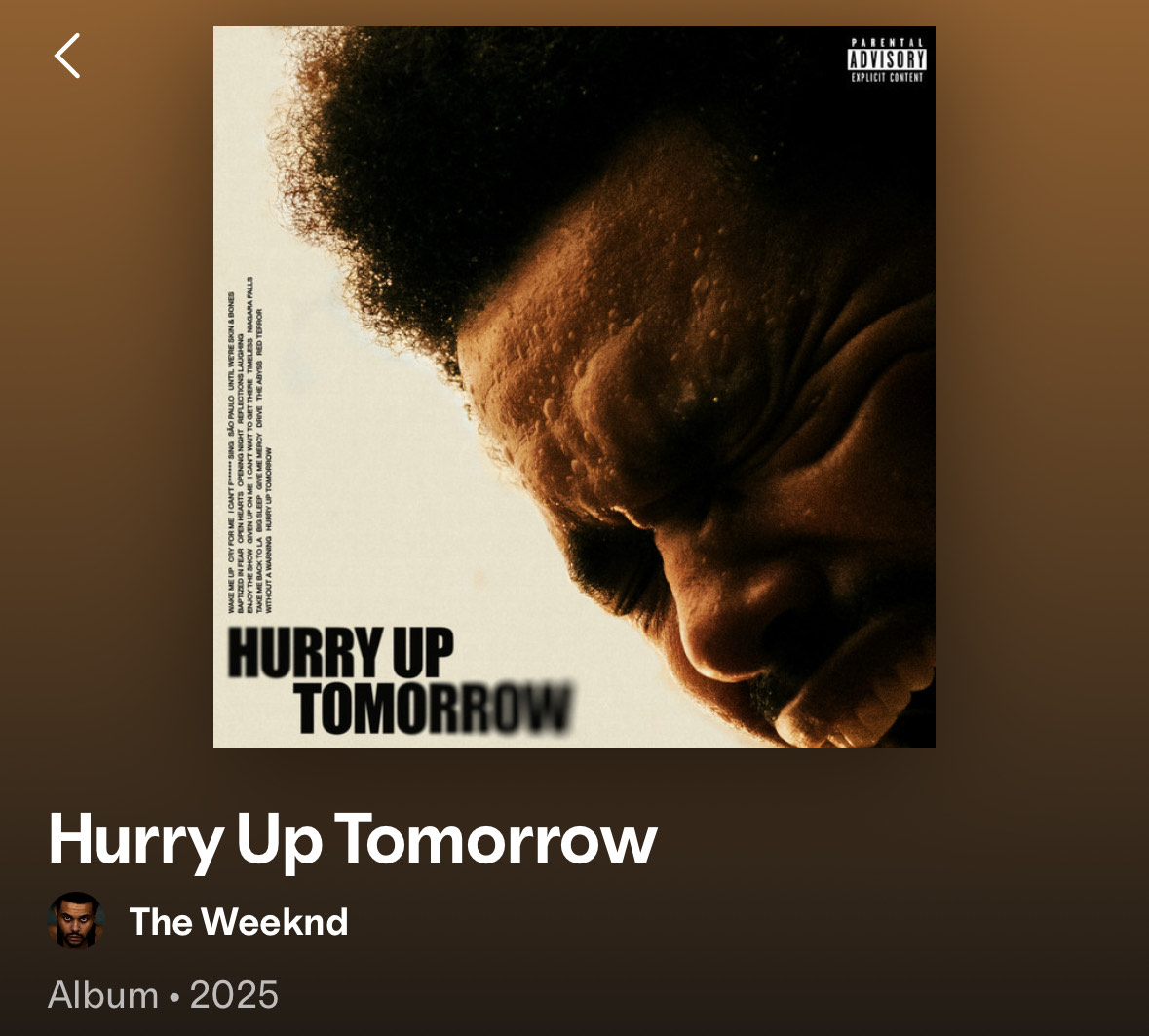 Screenshot from Spotify