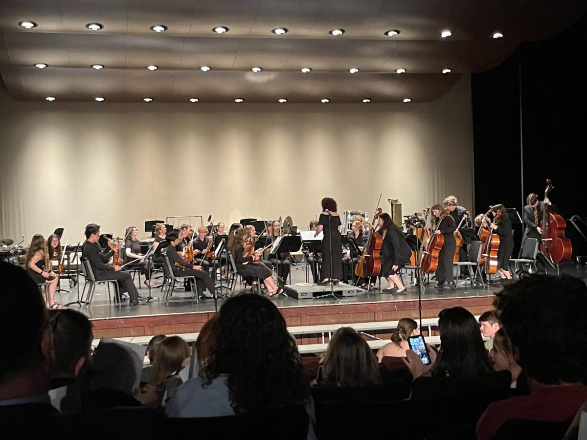 "A photo taken during the Orchestra's concert on June 9th"