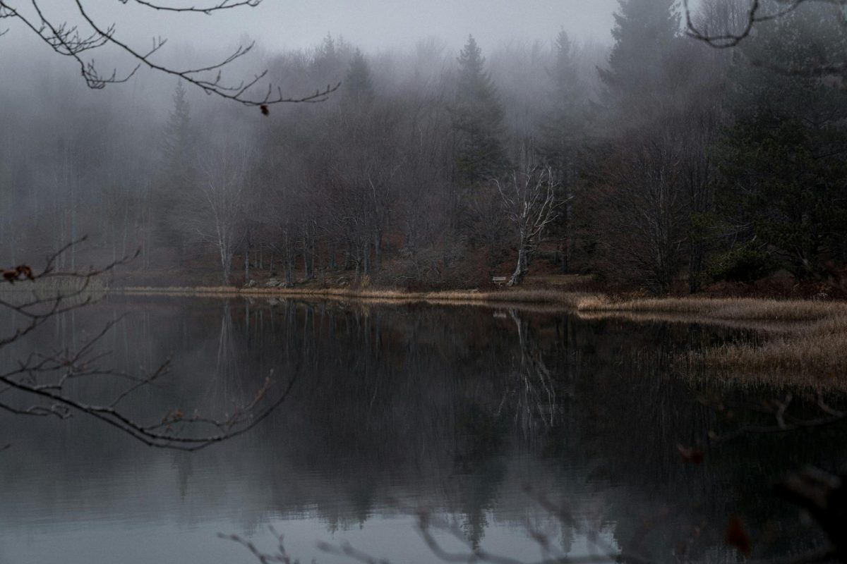 
'A body of water surrounded by trees and fog' From Unsplash