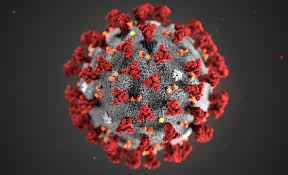 Image of COVID-19 from United Nations website.