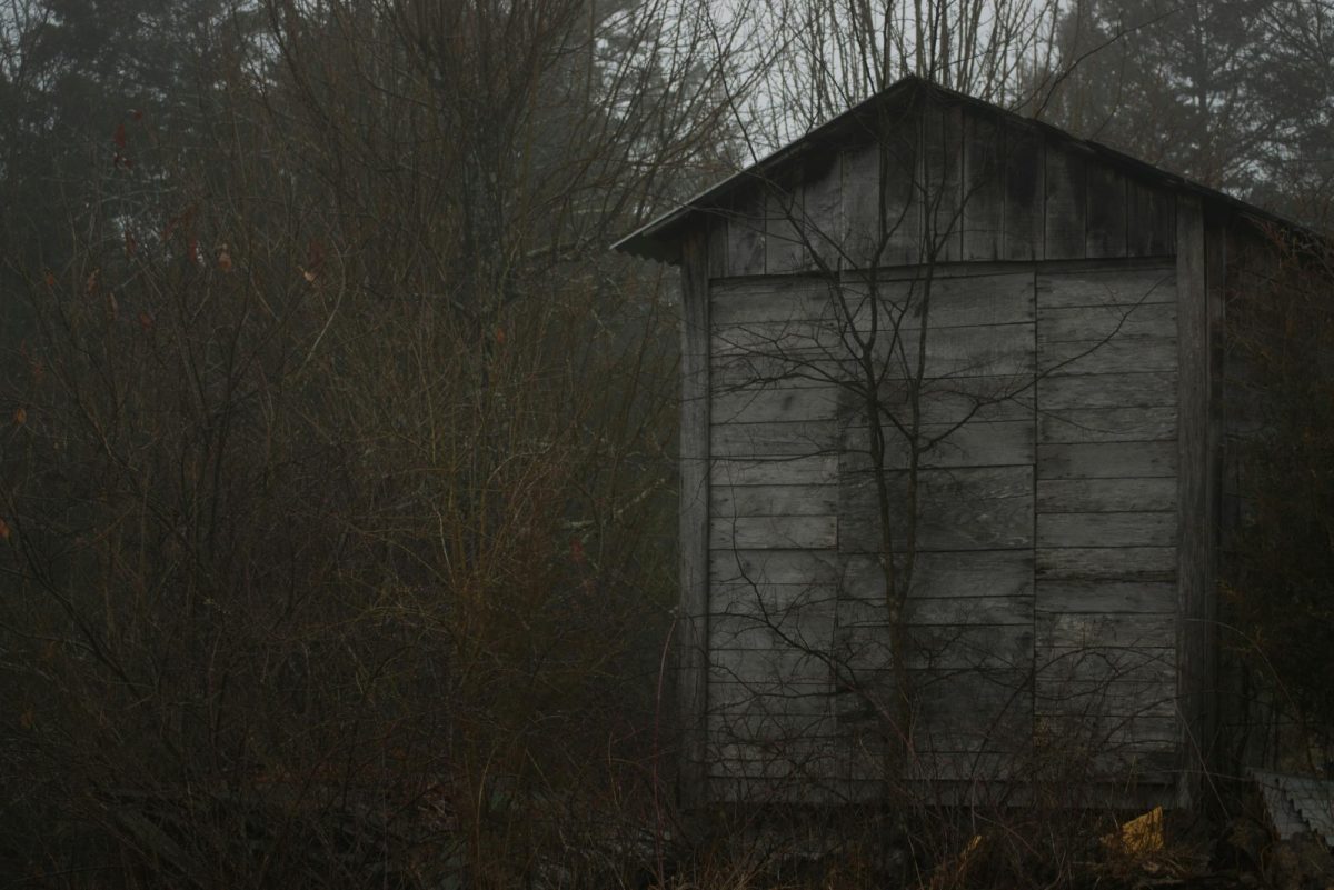 'An old outhouse in the woods on a foggy day' on Unsplash