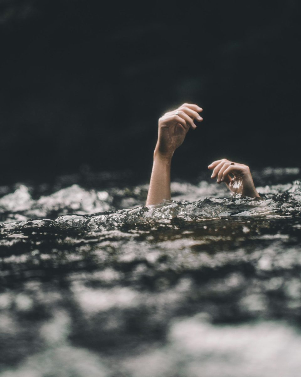 Image courtesy of Unsplash
