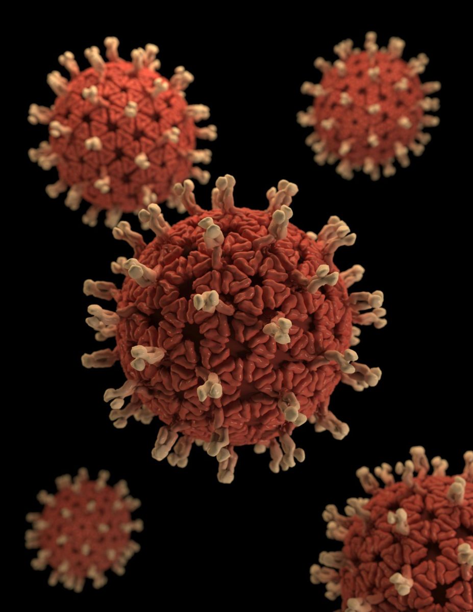 Could HantaVirus Become the Next Pandemic?